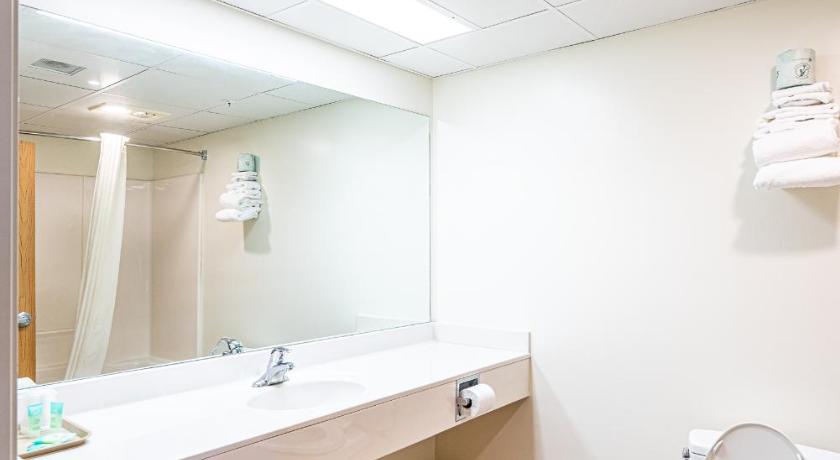 a bathroom with a toilet and a sink, Anchorage Motel Inc. in Aspen Meadows (DE)