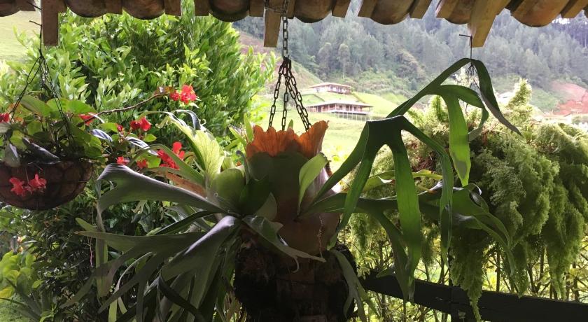 casa hotel porton campestre jardin