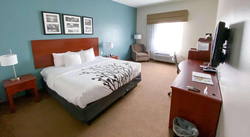 Sleep Inn & Suites Pearland - Houston South