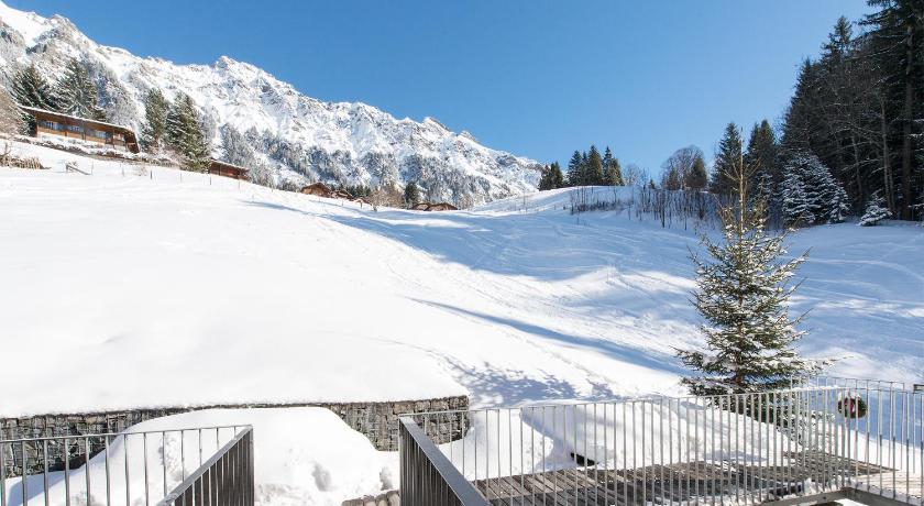 Chalet Roossi photo