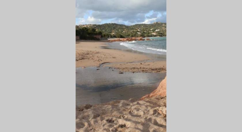MARE e CAMPAGNA photo