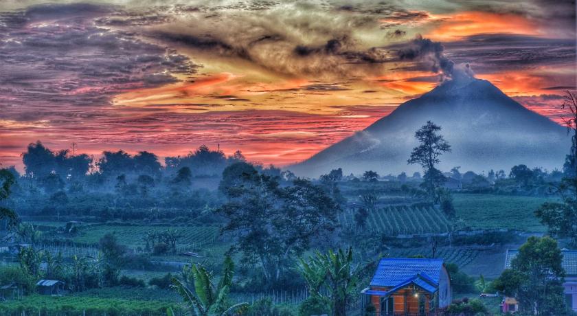 Nachelle Homestay photo