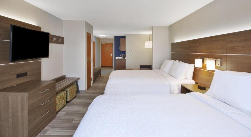 Holiday Inn Express Hotel & Suites Auburn Hills