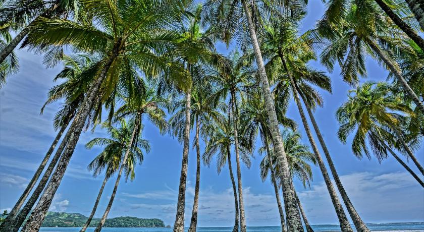 Nammbu Beach Front Bungalows photo