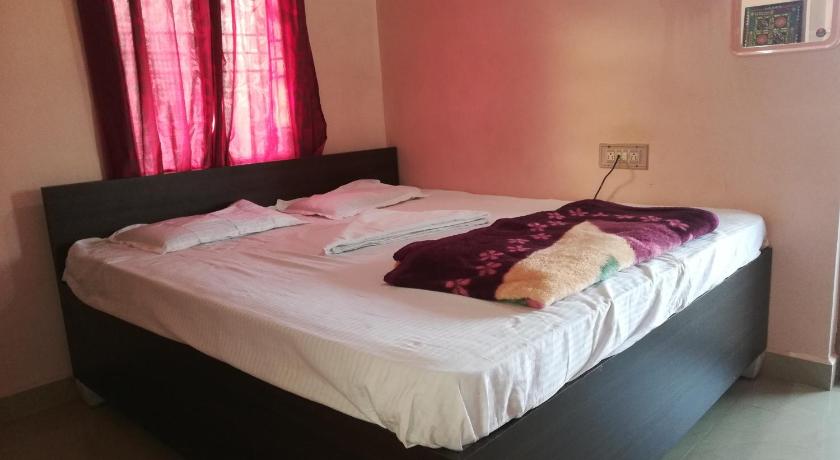 Abhi Homestay Hampi photo