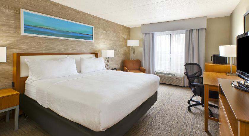 Holiday Inn Hotel & Suites Bolingbrook