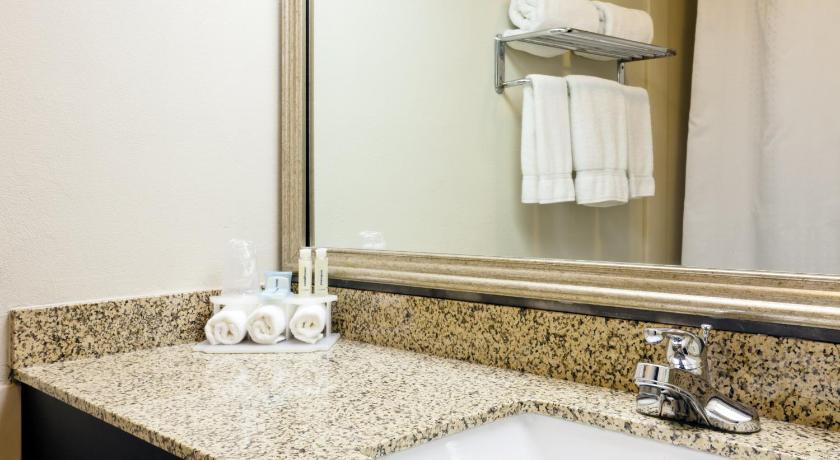 Holiday Inn Express Hotel & Suites Port Clinton-Catawba Island