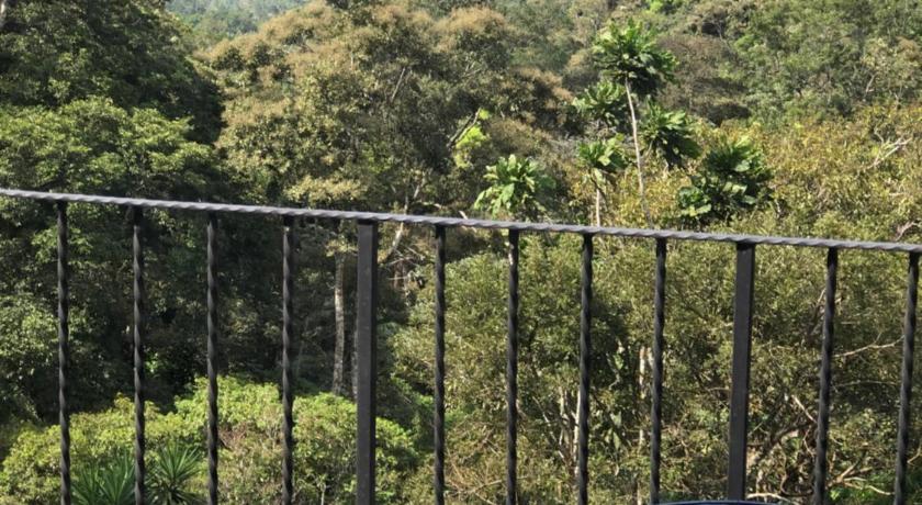 El Valle de Anton La Chachalaca photo