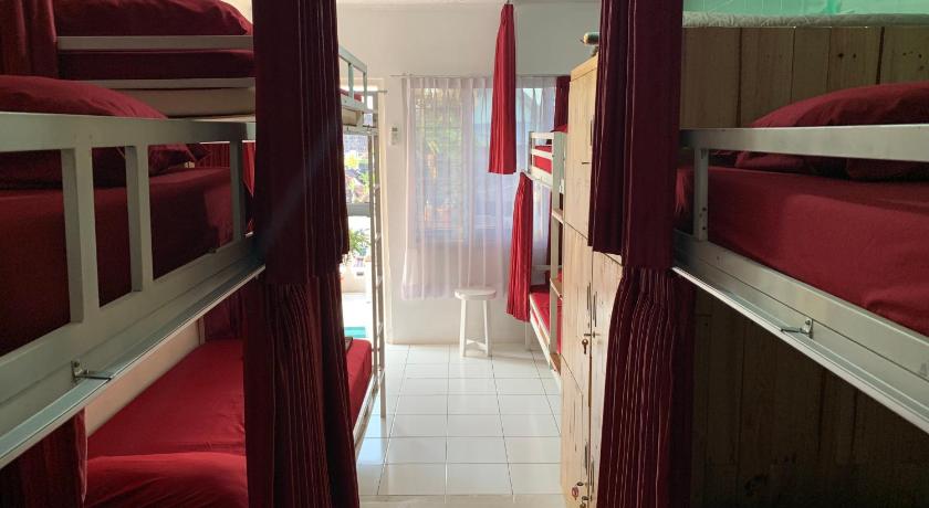 Image of Bunk Bed in Female Dormitory Room 0