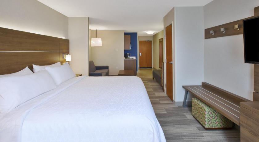 Holiday Inn Express Hotel & Suites Auburn Hills