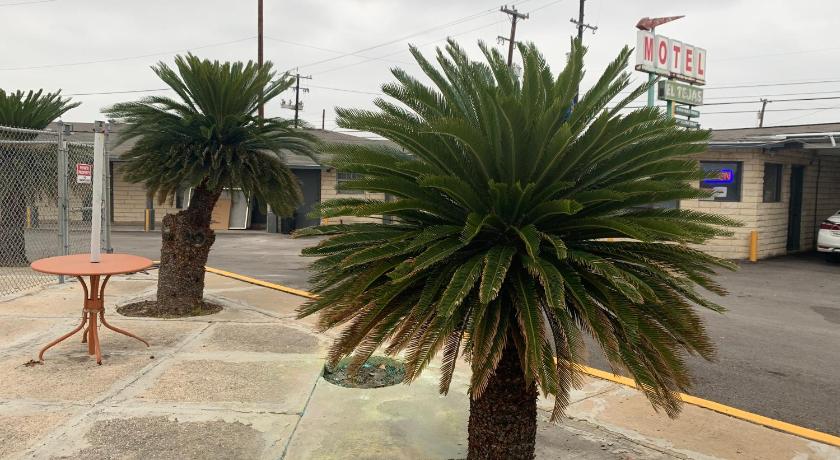 El tejas Motel photo