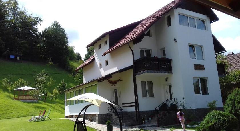 Pensiunea Vladut — Hotel in Bran