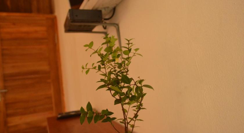 巴厘 The Rahayu Cottage 2星级 酒店 客房