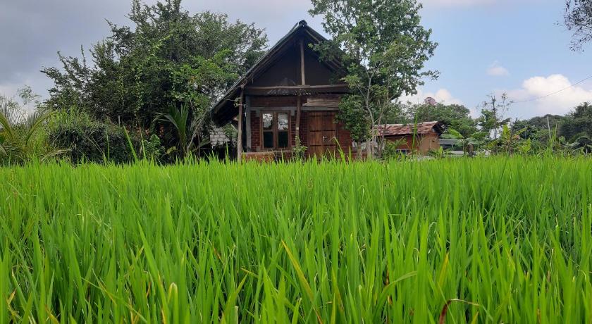 Habarana Farm Cottage photo