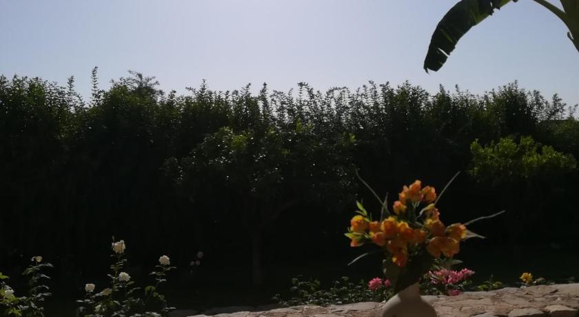 Stoupa's Paradise photo