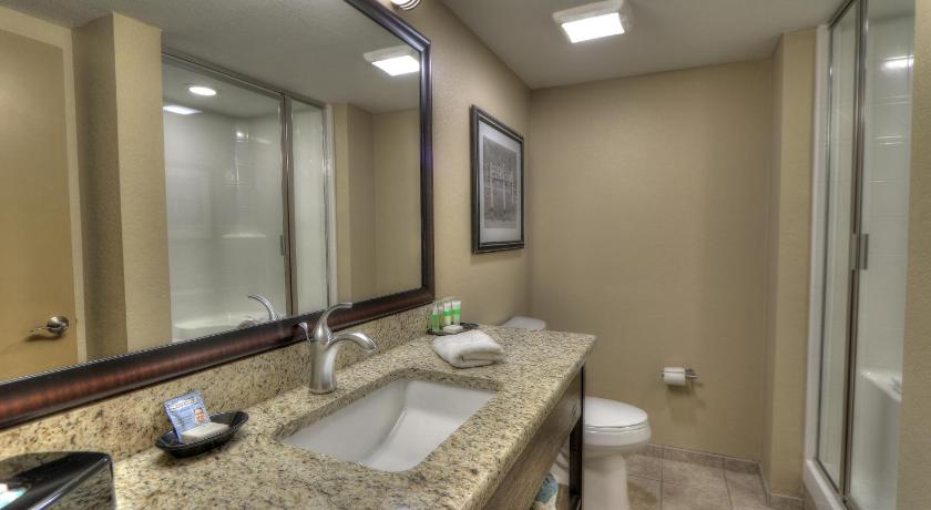 Immagine di Queen Executive - Shower Only 1