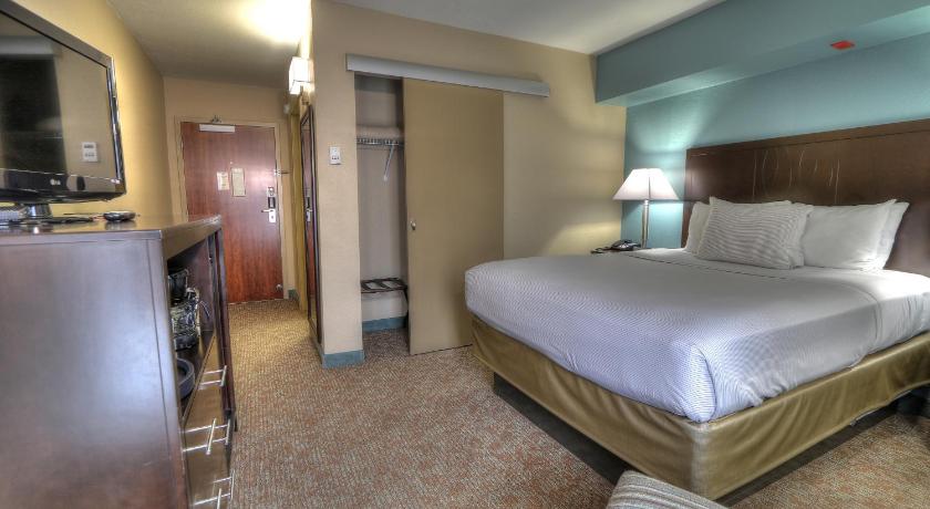Immagine di Queen Executive - Shower Only 0