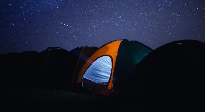 Kalsubai Camping Tent Bhandardara Deals Photos Reviews