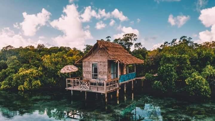 Noguna Homestay 価格 写真 レビュー アドレス ソロモン諸島 Noguna Homestay 価格 写真 レビュー アドレス ソロモン諸島