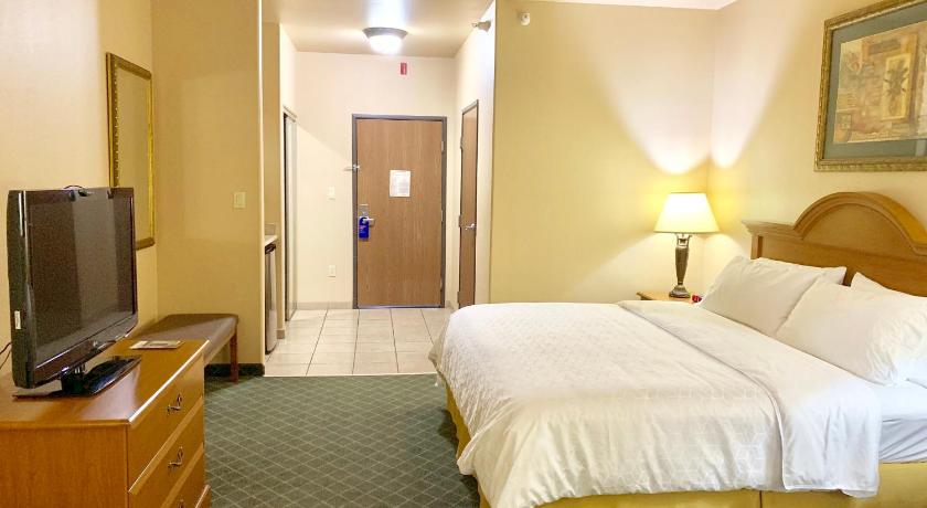 Holiday Inn Express Hotel and Suites Alice