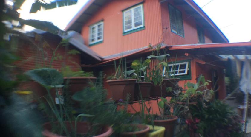a garden filled with plants and plants next to a building, BAEY B0GAN Homestay in Sagada