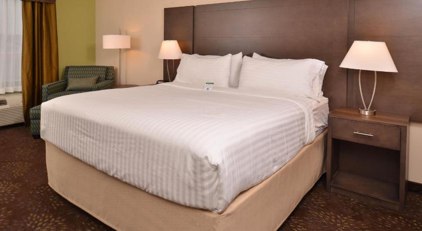 Holiday Inn Express & Suites Dearborn SW - Detroit Area