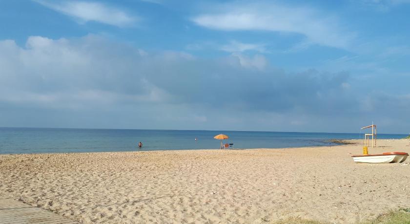 siciliacasevacanze - Ulivi photo