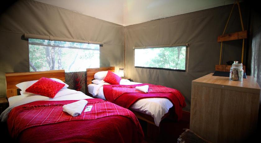 Image of Double Room with Two Double Beds 1