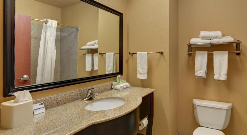 Holiday Inn Express Hotel and Suites Altus