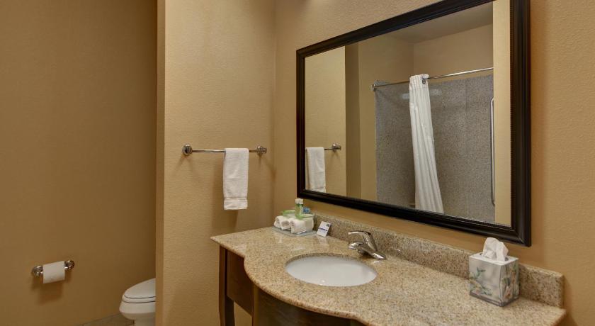 Holiday Inn Express Hotel and Suites Altus