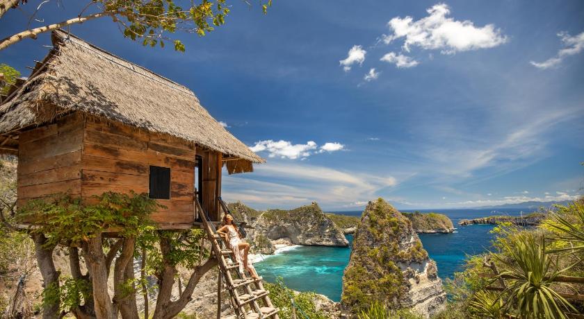 The Mesare Jungle Resort - image 6