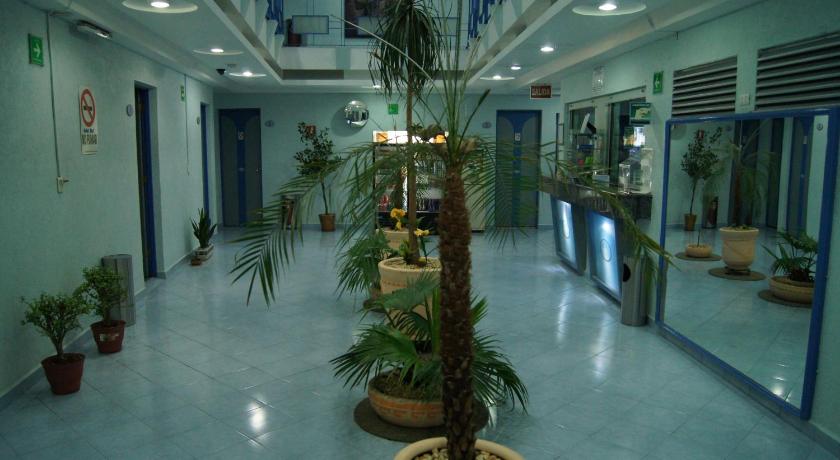 Lobby, Hotel Muy in Mexico City