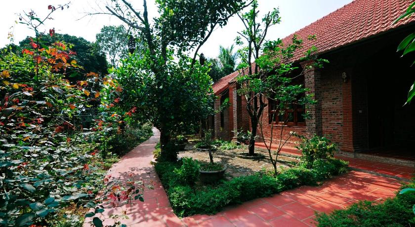 a small garden with a tree in the middle of it, Ninh Binh Friendly Homestay in Ninh Bình