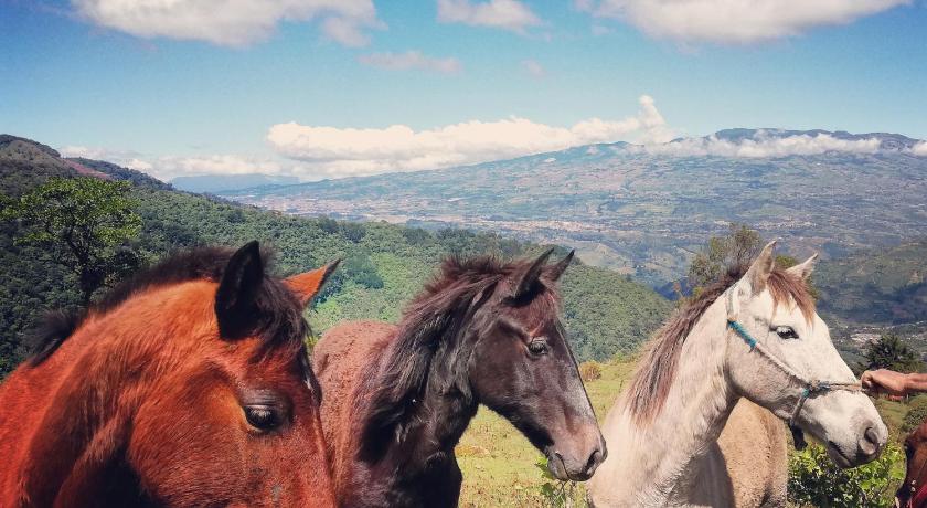 Finca Queveri photo