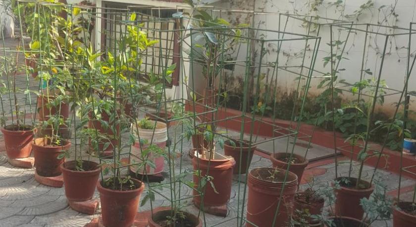 Birds Nest Home Stay photo