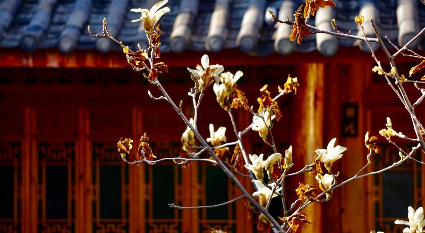 Lijiang Jayden NAXI Healing Lodge臣安纳西疗愈小院 - Namaste 4-Star Hotel amenity