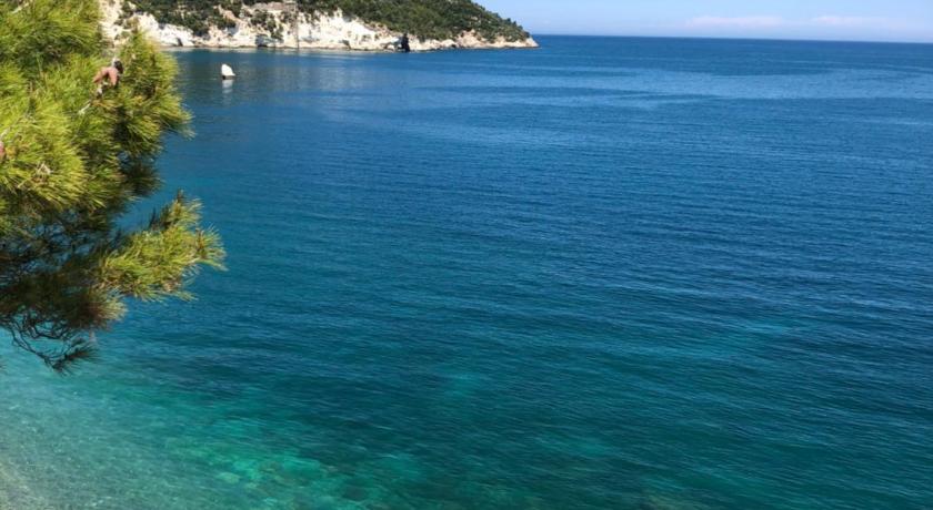 Camping Apartment Vignanotica photo