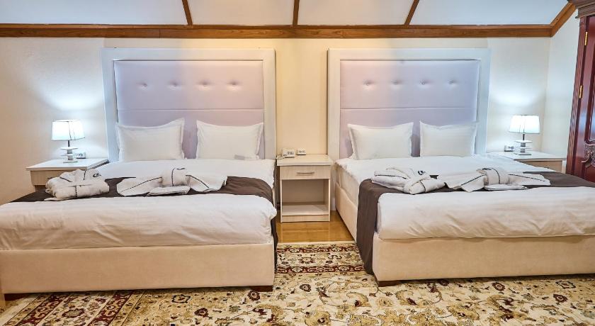 Image of Deluxe Double or Twin Room with Balcony 1