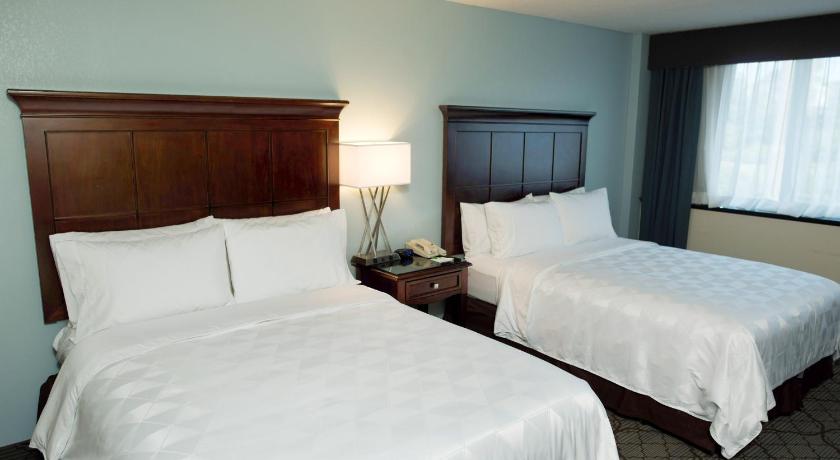 Holiday Inn Birmingham Airport NEC photo