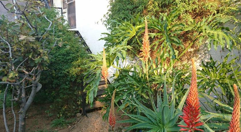 41 Ridge- self catering cottages photo
