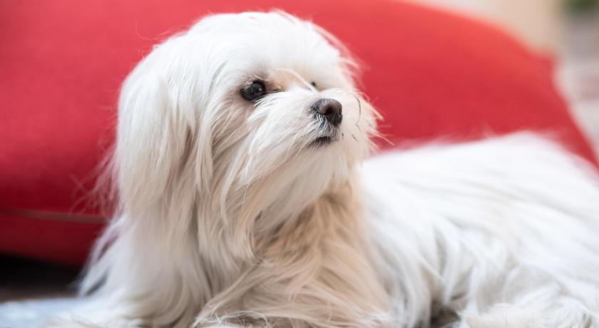 Rome Auditorium Mecenate 1-Star Hotel room
