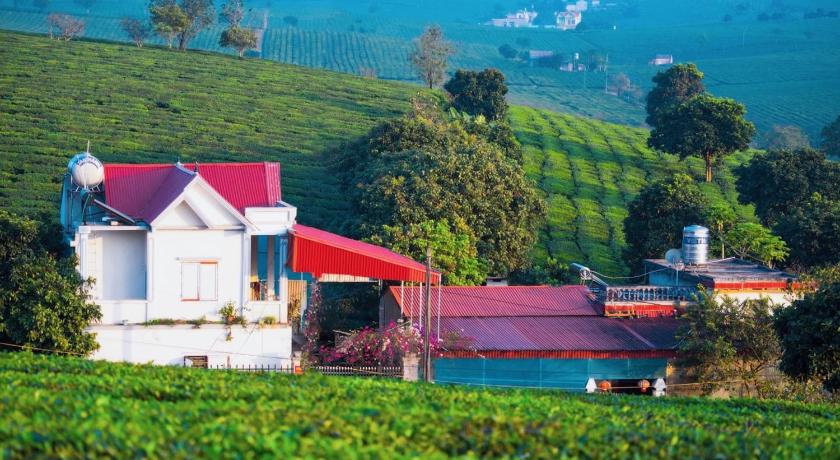Homestay Moc Chau