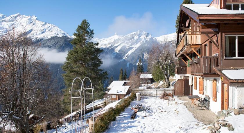 Chalet Ledibach photo
