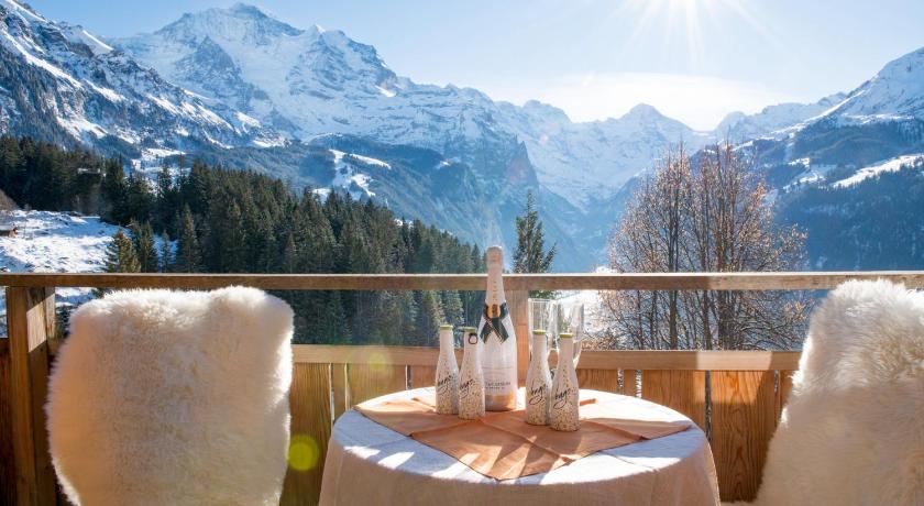 Chalet Ledibach photo