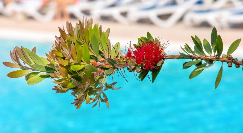 SOWELL Family Riviera