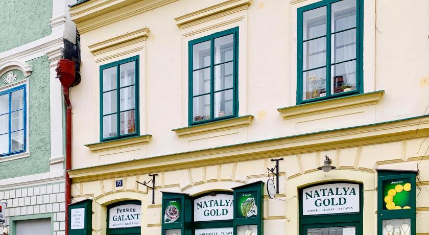 Apartman Natalya Gold Cesky Krumlov photo