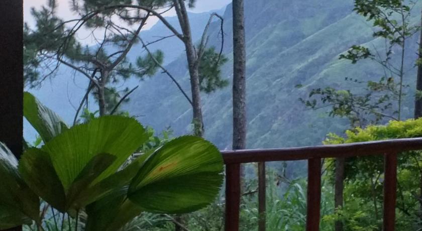 Dream view photo