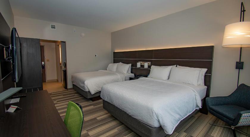 Holiday Inn Express and Suites Tonawanda Buffalo Area