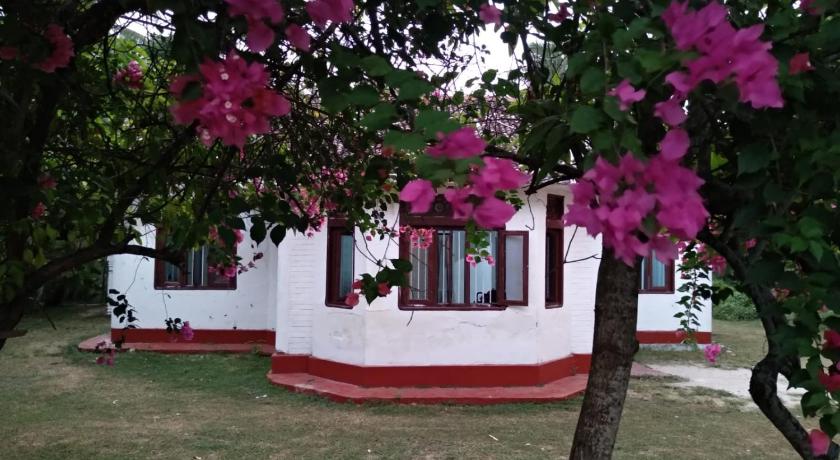 Colonial Surfing Villa Hostel & Home Stay photo