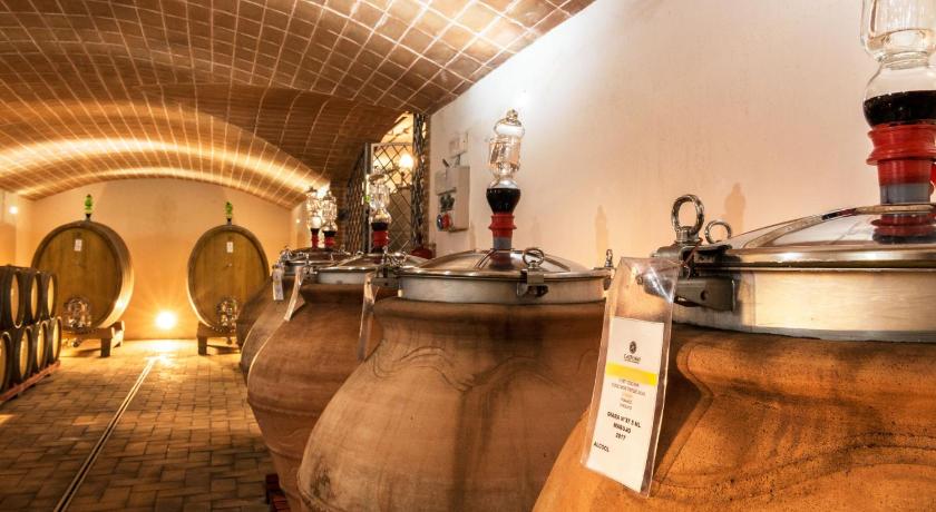 agriturismo e cantina Tenuta Casteani photo